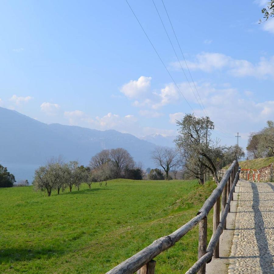 Вилла La Cascina Della Vigna Del Viandante Аббадия Лариана Экстерьер фото